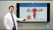 What Is Cervical Cancer? - Joshua G. Cohen, MD | UCLA Obstetrics and Gynecology