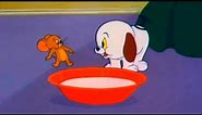 Tom and Jerry - Episode 80 - Puppy Tale (1954)