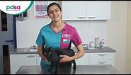 How To Apply A Spot On Flea Treatment For Your Cat: PDSA Petwise Pet Health Hub
