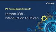 Lesson 03b - Introduction to XScan