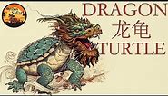 Chinese Dragon Turtle - Everything You Need To Know