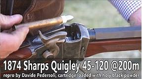Pedersoli 1874 Sharps Quigley 45-120 at 200m - TEASER