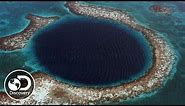 What is a Blue Hole? | Discovery LIVE: Into the Blue Hole