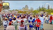 Himeji Spring 2023 Walking Tour - Hyogo Japan [4K/HDR/Binaural]