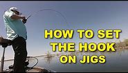 How To Set The Hook On A Jig (This Works!) | Bass Fishing