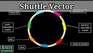 Shuttle Vector