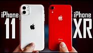 iPhone 11 vs iPhone XR - Full Comparison!