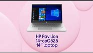 HP Pavilion 14-ce0525 14" Laptop - Intel® Pentium® Gold, Silver | Product Overview | Currys PC World