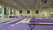 LSU Gym Tour clip