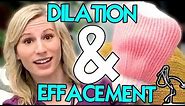 Dilation and Effacement Explained