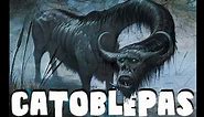 Dungeons and Dragons Lore: Catoblepas