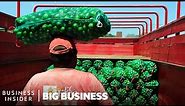 How Mexico Grows Limes On Orange Trees To Supply The US | Big Business | Business Insider