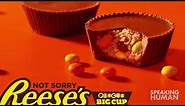 AdWatch: Reeses / Not Sorry - Decisions