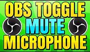 How to Toggle Mute your Microphone in OBS Studio