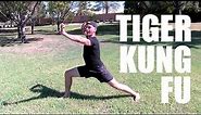 REAL TIGER STYLE KUNG FU | Chinese Martial Arts