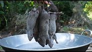 Fried Rat in simple recipe with mango sauce in my village #ratcooking #friedrat