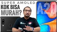 Review Samsung Galaxy A20 2019: 2 Jutaan Dapat Samsung Layar Super AMOLED, Murah? - Indonesia
