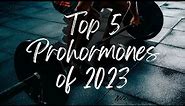 Top 5 Prohormones Of 2023 | What to Try in 2024!
