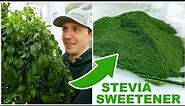 How To Process Stevia Into A Powder Sweetener