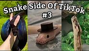 Snake Side Of TikTok #3
