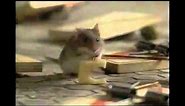 Mouse Hunt VHS TV Spot