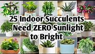 25 Indoor Succulent Plants | Succulents need Zero Sunlight to Bright | Plant and Planting