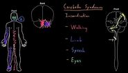 Syndrome: Cerebellar syndromes