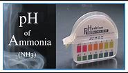 pH of Household Ammonia (NH3) and Color Changing pH Paper