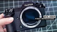Canon Shooter Tries Fujifilm GFX 100S