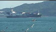 Container Ship SINOTRANS OSAKA 10 2023