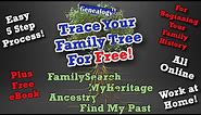 Trace Your Family Tree for Free Online: 5 Step Process (2020)