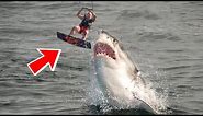 10 Scariest Shark Attacks Caught On Camera