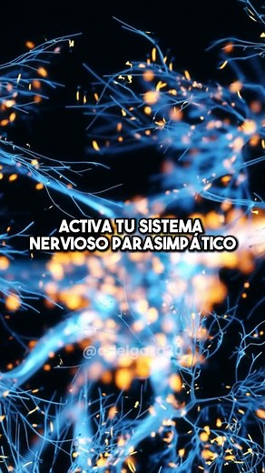 😰 ¿Sabías que el cortisol elevado está saboteando tu cuerpo? Esta hormona del estrés puede estar transformando tu figura sin que te des cuenta. 🚫 Señales de alarma: • Cara hinchada • Grasa abdominal • Sudor excesivo en las axilas ✨ No te preocupes, aquí tienes 5 soluciones naturales para recuperar tu equilibrio hormonal: 🌙 Olvida las dietas extremas: Solo hacen que retengas más grasa. 🚶‍♀️ Camina 30-40 minutos antes de dormir: Activa tu hígado y mejora tu digestión. 🍵 Té verde: 2-3 tazas al