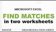 Excel - Find Matching Values in Two Worksheets, Tables or Columns Tutorial - Part 1