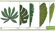 KS1 Jungle Leaf Template Cut-Outs