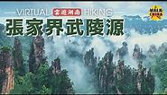 4K Virtual Walk in Zhangjiajie Wulingyuan Scenic Area - Hunan, China