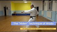 The Secret Technique of Wado Ryu Karate Do 和道流空手道 - Connections with speed skaters & high jumpers.