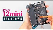 iPhone 12 Mini Teardown
