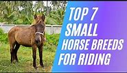Top 7 Small Horse Breeds for Riding
