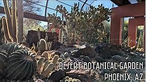 Desert Botanical Garden | Phoenix, AZ | Let's visit my favorite cactus plants!