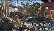 Desert Botanical Garden | Phoenix, AZ | Let's visit my favorite cactus plants!