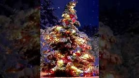 The Roku Channel - Christmas - Holiday - Background - Roku
