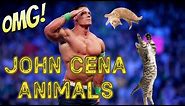JOHN CENA Best Animals Edition | Crazy Vibes #29