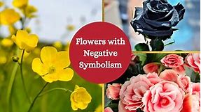 Flowers With Negative Meanings – A List - Symbol Sage