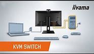 KVM Switch - How does it work?