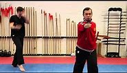 Jow Gar Kung Fu Fighting applications of Sai Ping Kune Kung Fu