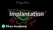 Implantation | Behavior | MCAT | Khan Academy