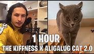 1 HOUR The Kiffness X Alugalug Cat 2.0 (Please Go Away)