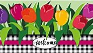 Evergreen Sassafras Welcome Spring Tulips Interchangeable Entrance Doormat | Indoor and Outdoor | 22-inches x 10-inches | Non-Slip Backing | All-Season | Low Profile | Home Décor