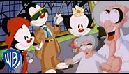 Animaniacs | The Warners' First Session with Dr. Otto | WB Kids